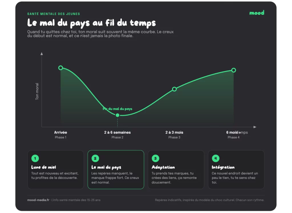 Courbe du mal du pays en 4 phases dans le temps : lune de miel, mal du pays, adaptation, intégration